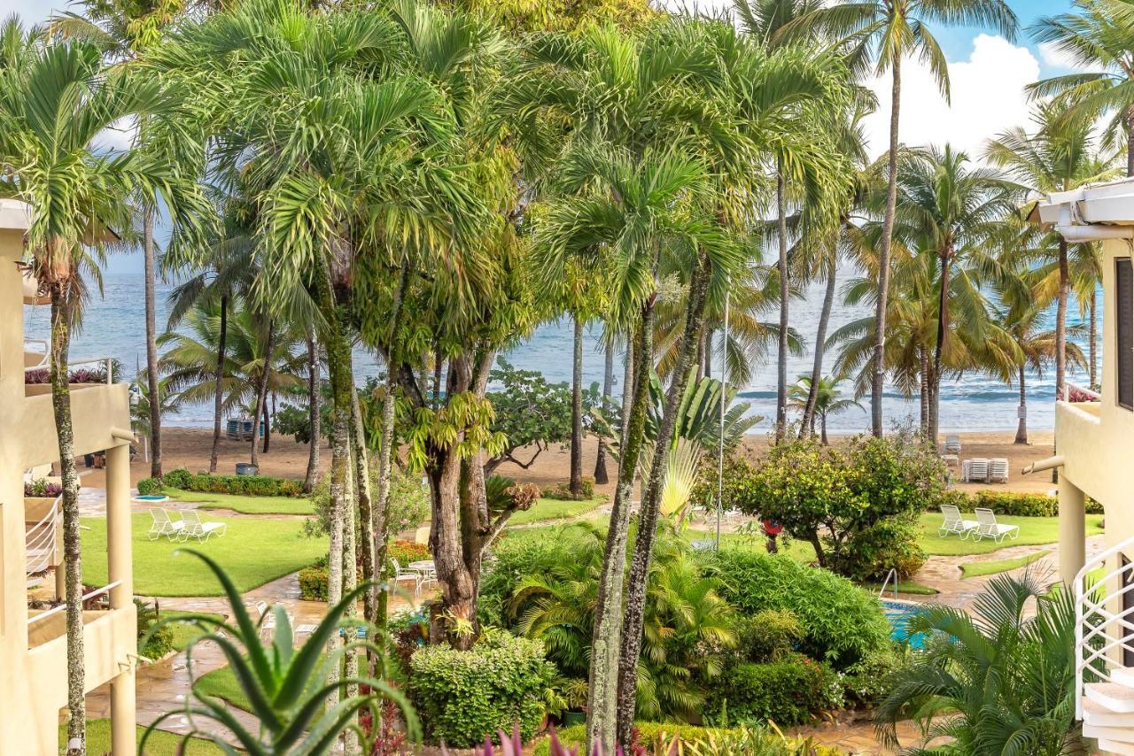 Cabarete Palm Beach Condos ภายนอก รูปภาพ