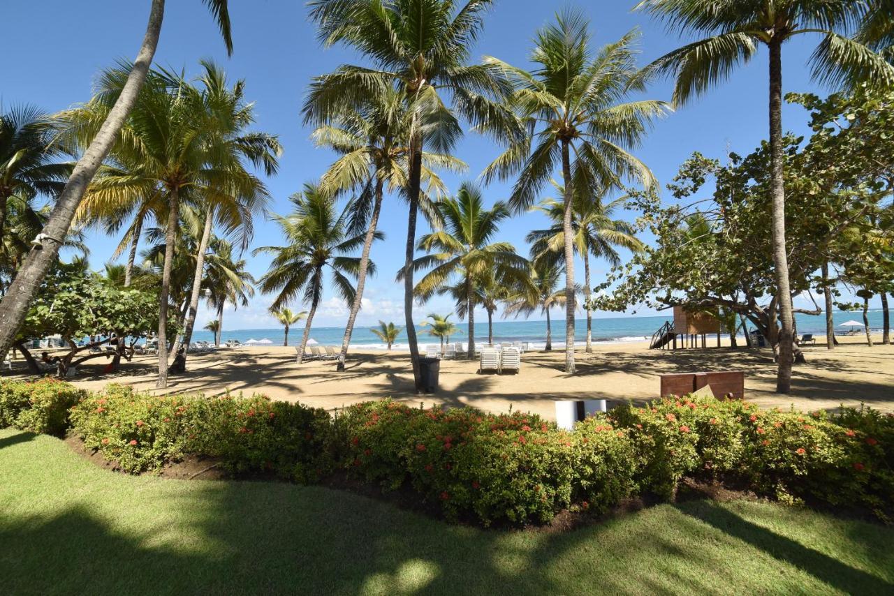 Cabarete Palm Beach Condos ภายนอก รูปภาพ